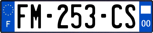 FM-253-CS