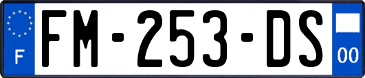 FM-253-DS