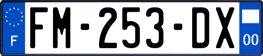 FM-253-DX