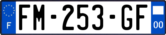 FM-253-GF
