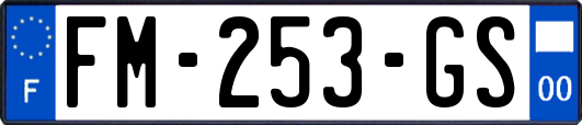 FM-253-GS