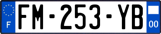 FM-253-YB