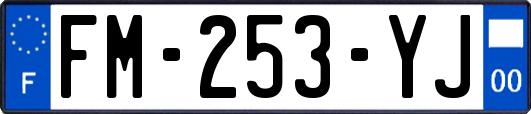 FM-253-YJ