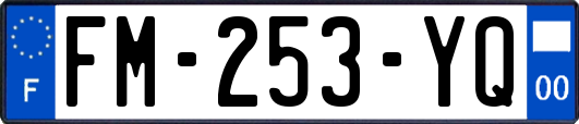 FM-253-YQ