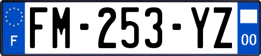 FM-253-YZ