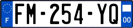 FM-254-YQ