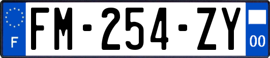 FM-254-ZY