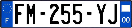 FM-255-YJ
