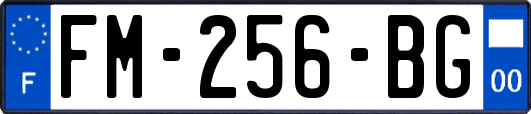 FM-256-BG