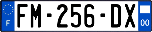 FM-256-DX