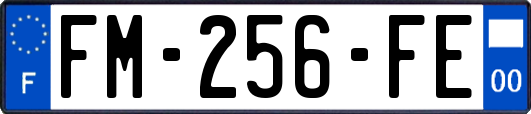 FM-256-FE