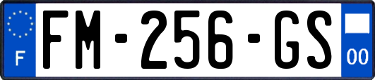 FM-256-GS