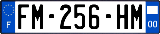 FM-256-HM