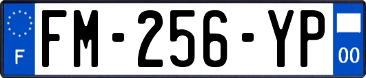 FM-256-YP