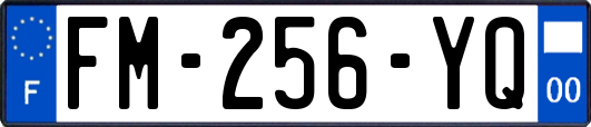 FM-256-YQ