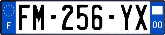 FM-256-YX
