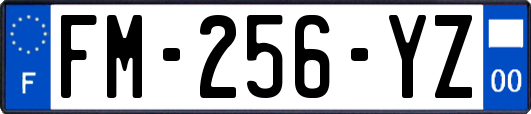 FM-256-YZ