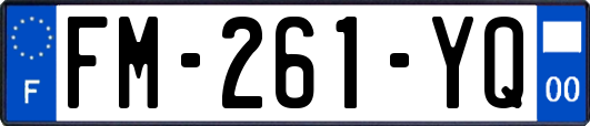FM-261-YQ