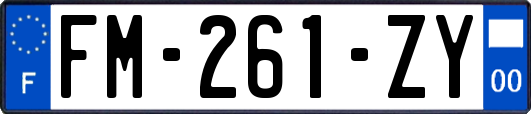 FM-261-ZY