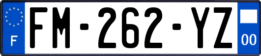 FM-262-YZ