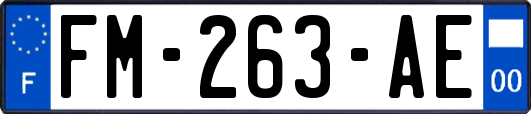 FM-263-AE