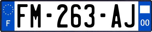 FM-263-AJ