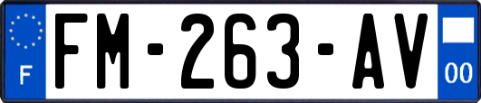 FM-263-AV