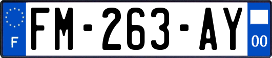 FM-263-AY