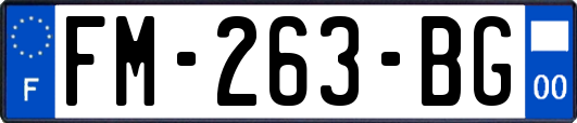 FM-263-BG