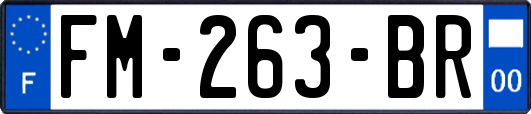 FM-263-BR