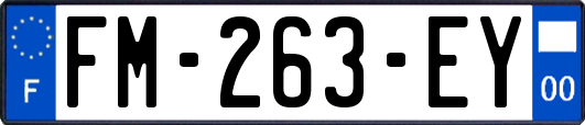 FM-263-EY