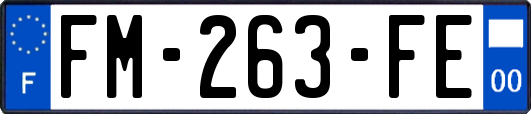 FM-263-FE