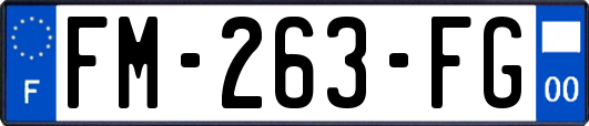 FM-263-FG