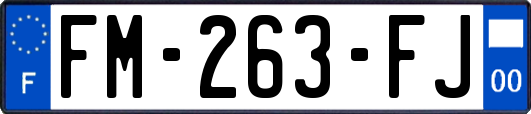 FM-263-FJ
