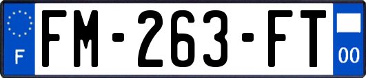 FM-263-FT