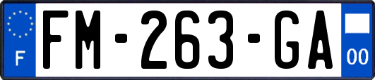 FM-263-GA