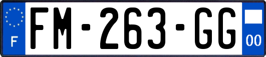 FM-263-GG