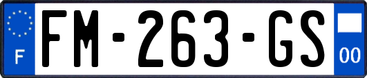 FM-263-GS