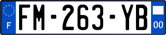 FM-263-YB