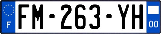 FM-263-YH