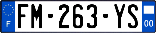 FM-263-YS