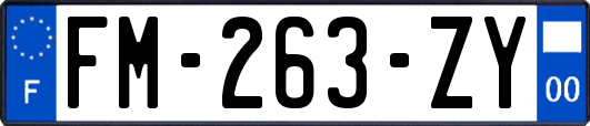 FM-263-ZY