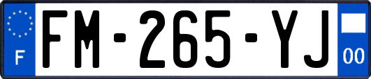 FM-265-YJ