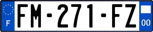 FM-271-FZ