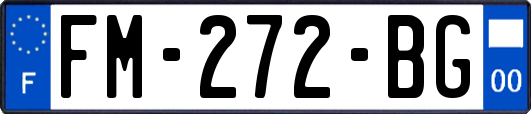 FM-272-BG