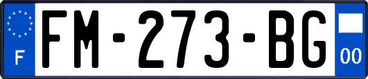 FM-273-BG