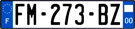 FM-273-BZ
