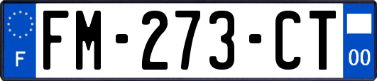 FM-273-CT