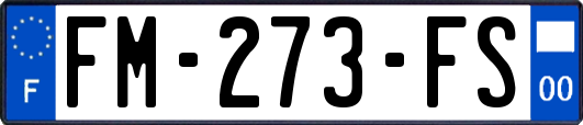 FM-273-FS
