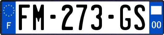FM-273-GS